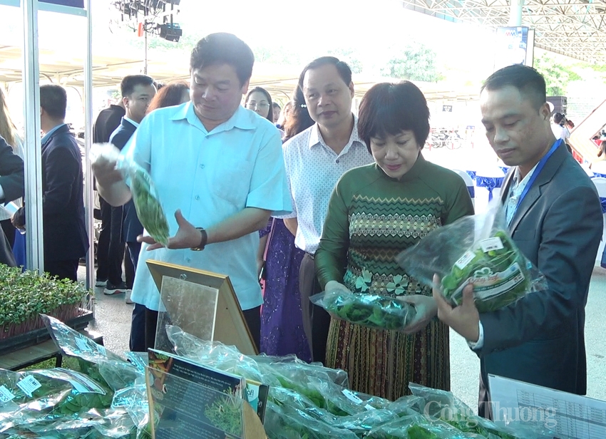 Các đại biểu đi thăm quan các gian hàng tại Hội chợ 5546-mm4-copy