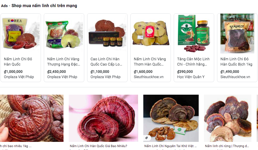 nấm hỗ trợ sức khỏe trên thị trường