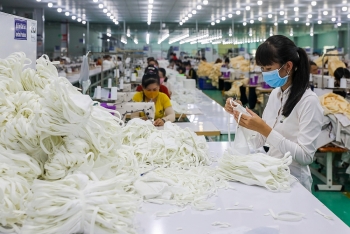 Doanh nghiệp trẻ đón đà hồi phục kinh tế