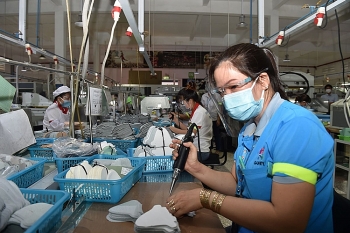 Độ bao phủ tăng, nợ bảo hiểm xã hội, bảo hiểm y tế có xu hướng giảm