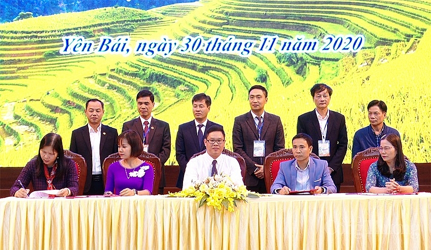 Yên Bái: Kết nối cung cầu, phát triển sản phẩm tiềm năng