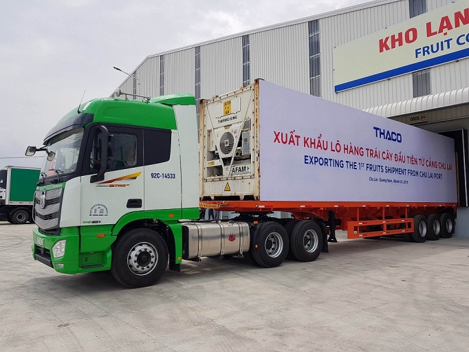 30 container chuối trị giá hơn nửa triệu “đô” được xuất khẩu từ Quảng Nam 30 container chuoi tri gia hon nua trieu do duoc xuat khau tu quang nam
