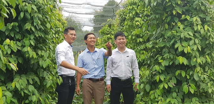 VietinBank "hợp lực" hạn chế tín dụng đen tại Tây Nguyên vietinbank hop luc han che tin dung den tai tay nguyen