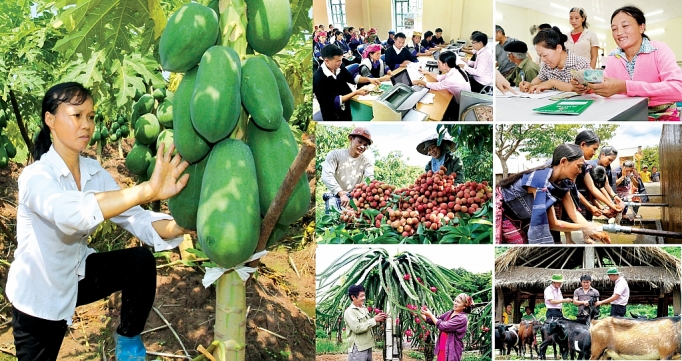 Tài chính nông thôn - "Trụ cột" cho chính sách giảm nghèo tại Việt Nam tai chinh nong thon tru cot cho chinh sach giam ngheo tai viet nam