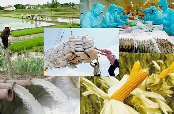 Hội nghị lớn về nông nghiệp, nông dân, nông thôn sẽ diễn ra vào tuần sau hoi nghi lon ve nong nghiep nong dan nong thon se dien ra vao tuan sau
