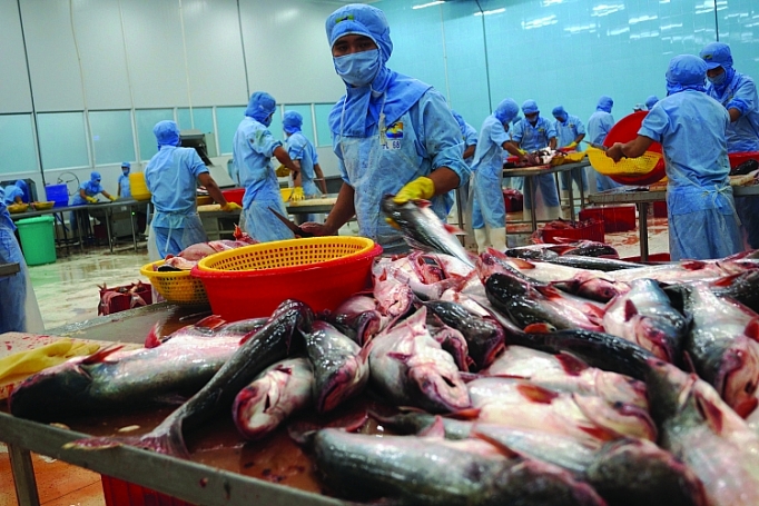 go rao can trong thanh toan voi thi truong trung dong va chau phi