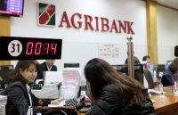 Agribank đẩy mạnh nguồn vốn cho tái canh cây cà phê