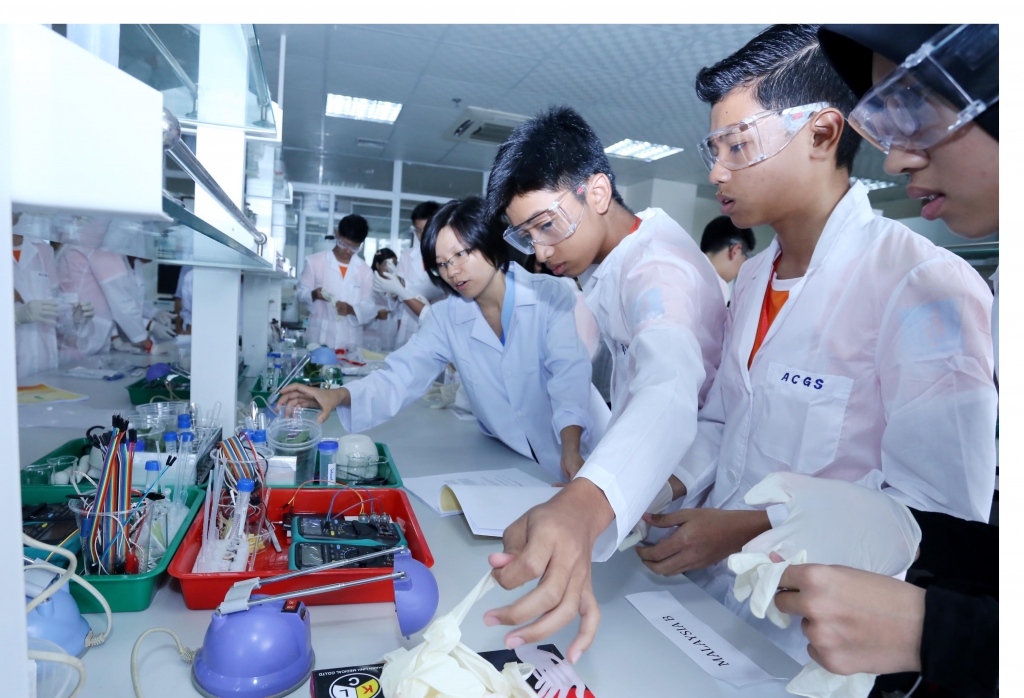 them dong luc tao dien mao moi