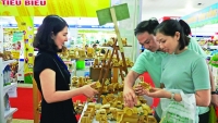 Câu chuyện khởi nghiệp: Lối đi ngay dưới chân mình