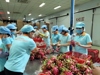 Nông sản miệt vườn chinh phục thế giới