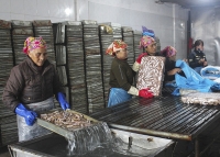 Nghệ An: Gỡ khó cho doanh nghiệp