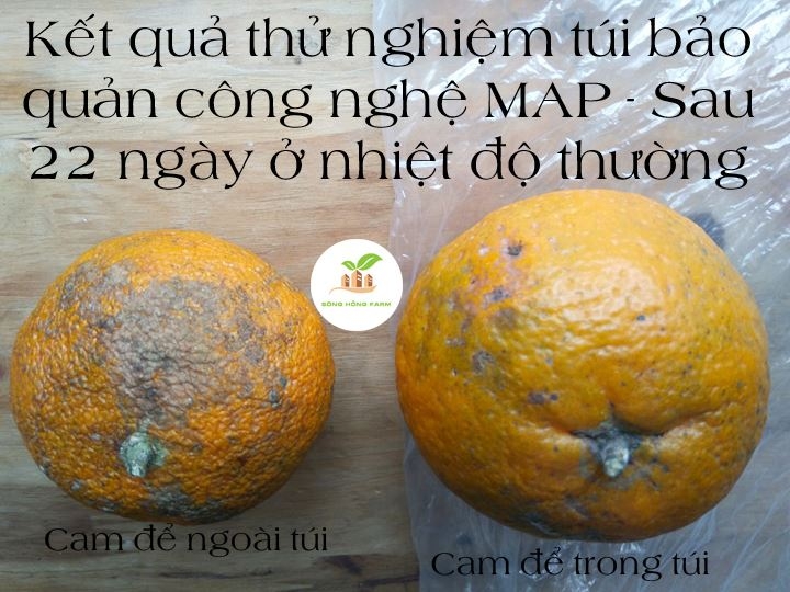 bao bi thong minh tu nhua phe thai