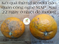 Bao bì thông minh từ nhựa phế thải