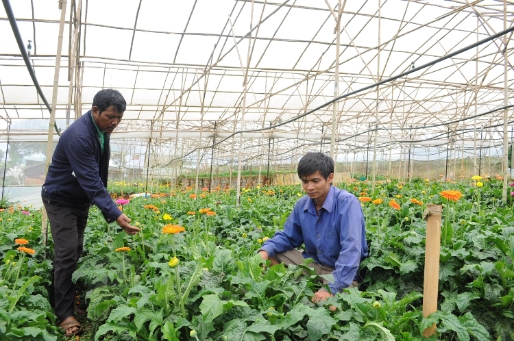 hut von doi ung tu co so