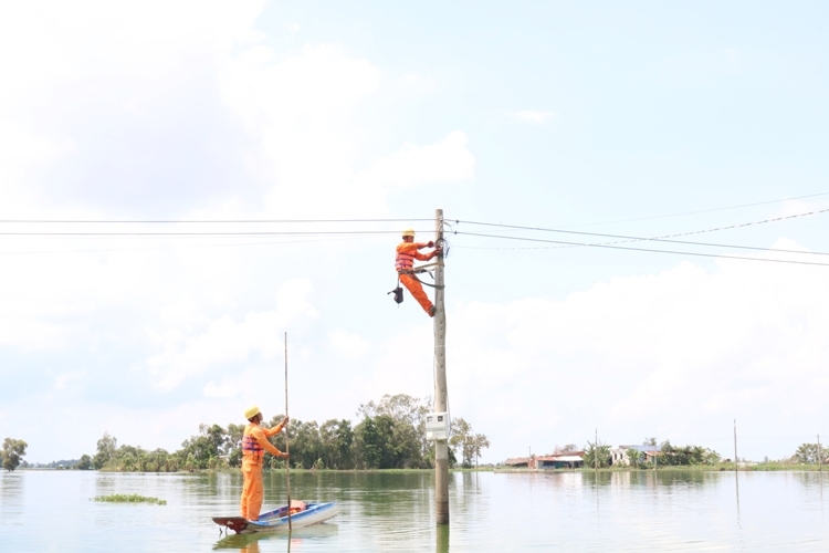 ngan ngua su co trong mua mua