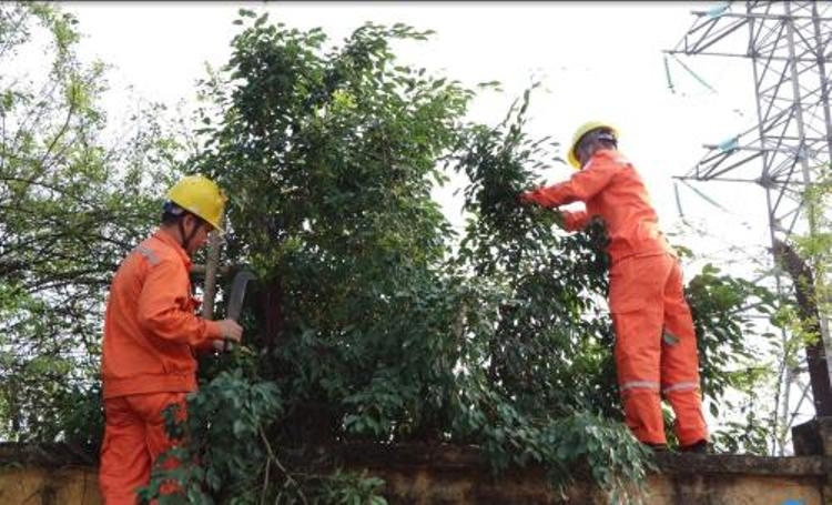 pc hai duong phat trien ben vung nho 5s