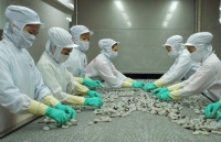 EVFTA và kỳ vọng của doanh nghiệp