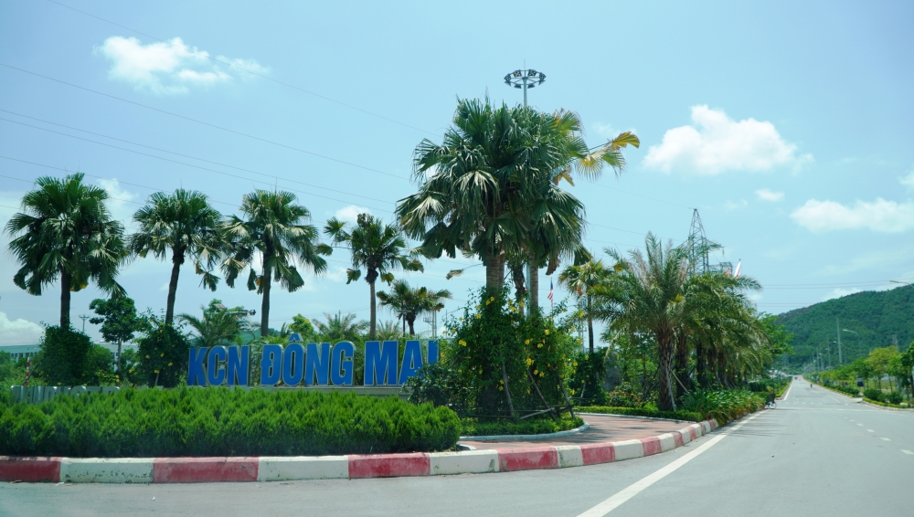 undefined 3922-anh-1