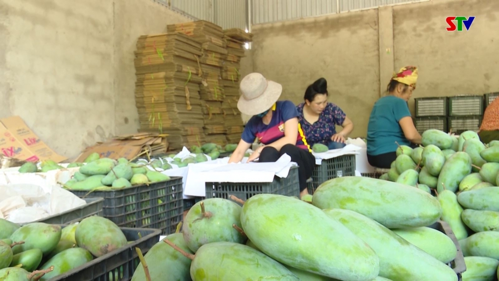 undefined 0434-bai-dyyi