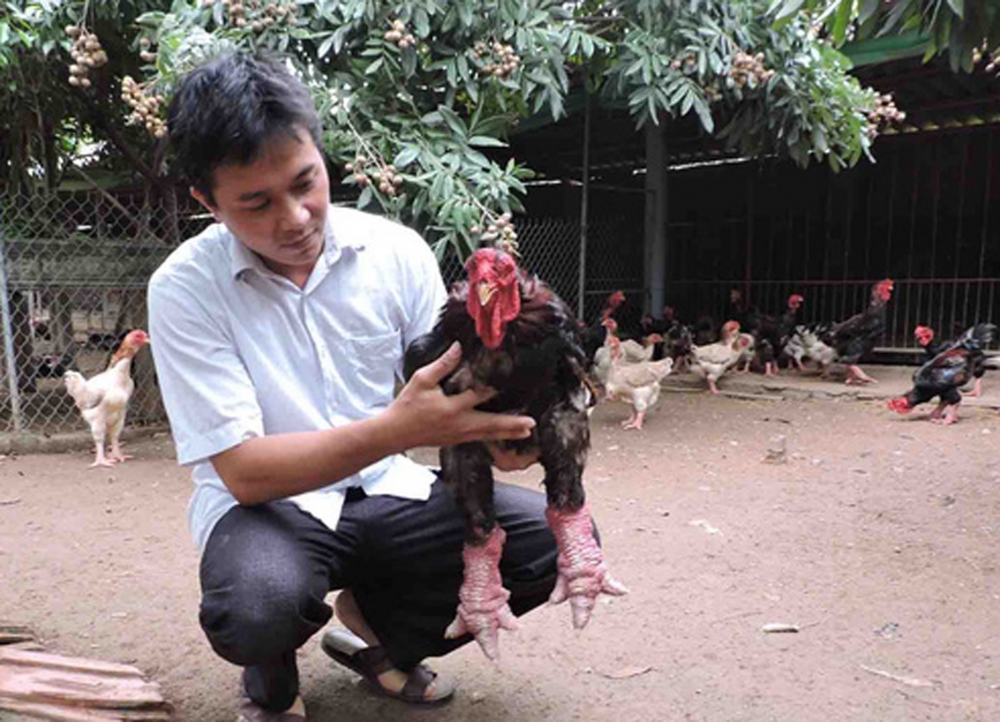 undefined 5039-ga-dong-tao-op-hung-yen