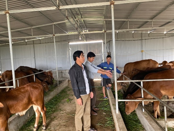 Di dời trang trại xa khu dân cư di doi trang trai xa khu dan cu