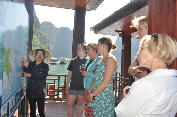 lam gi de lot top 50