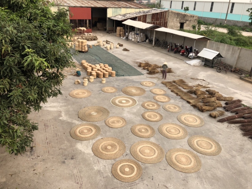 Nghệ nhân Trần Thị Việt: Người giữ nghề và phát huy giá trị cây cói nghe nhan tran thi viet nguoi giu nghe va phat huy gia tri cay coi