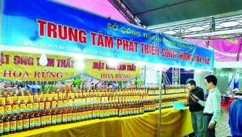 Trung tâm Phát triển Công Thương Vĩnh Phúc: Tích cực, chủ động hỗ trợ doanh nghiệp