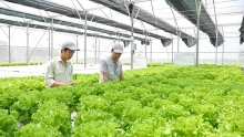Ngành nông nghiệp: Huy động nguồn lực hỗ trợ của tổ chức quốc tế
