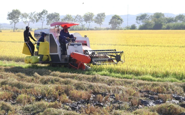 Giá phân bón biến động không theo quy luật mùa - Tạp chí Doanh nghiệp Việt Nam