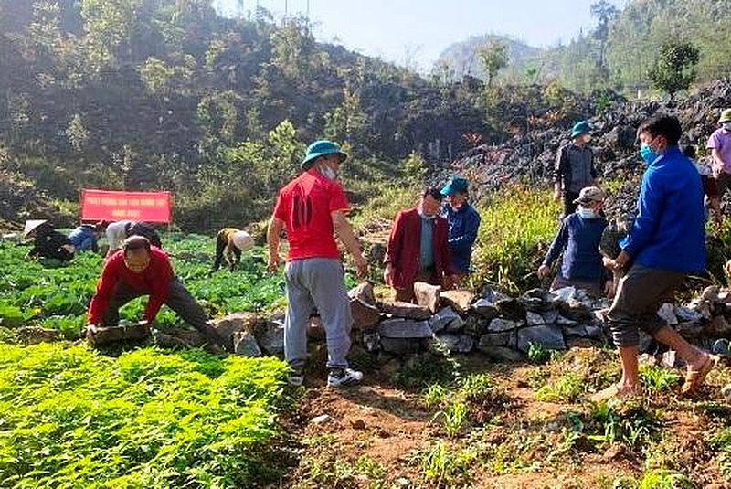Phát triển kinh tế vùng đồng bào dân tộc thiểu số: Từ chính sách đến thực tiễn