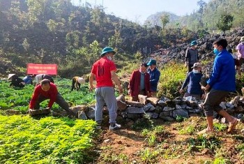 Phát triển kinh tế vùng đồng bào dân tộc thiểu số: Từ chính sách đến thực tiễn