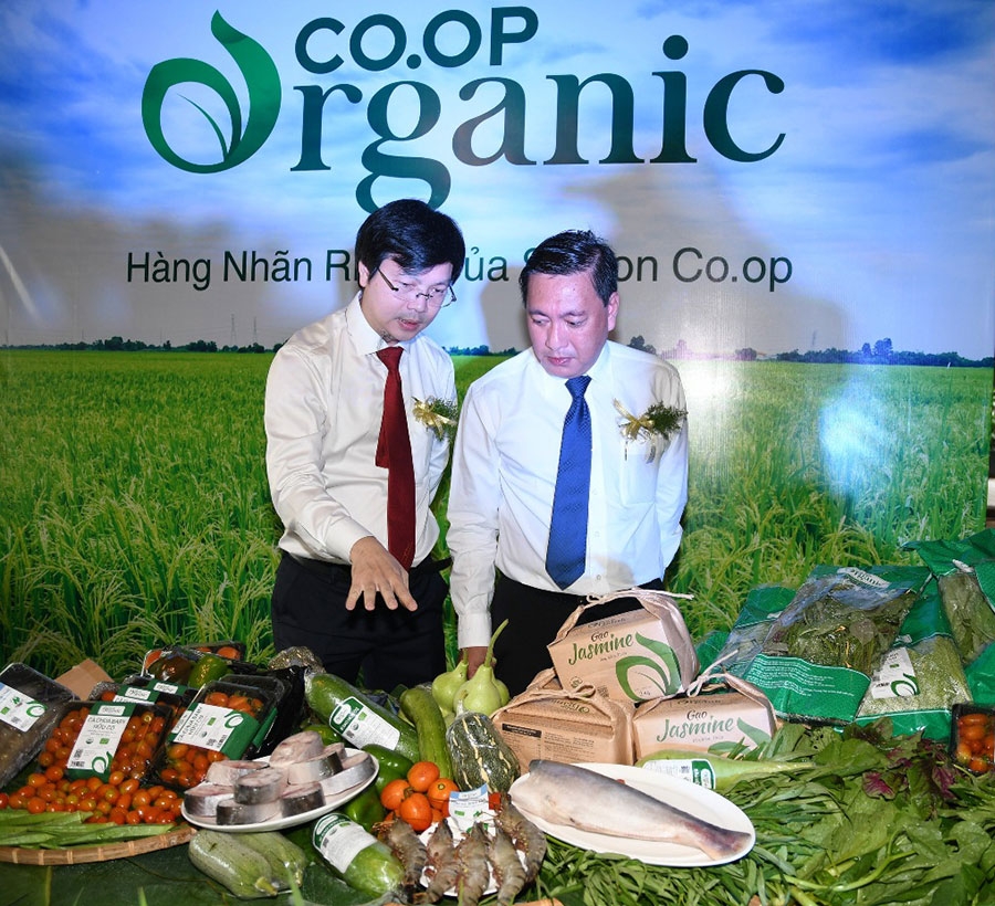 tao quyen luc cho hang viet