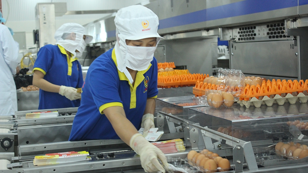 tao quyen luc cho hang viet