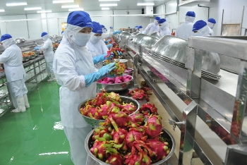 Tham gia các FTA: Cần tuân thủ “luật chơi” theo tiêu chuẩn cao
