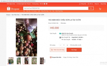 Sàn giao dịch thương mại điện tử: Đưa nông sản Sơn La đến gần người tiêu dùng