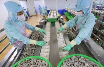 Hiệp định Thương mại tự do Việt Nam - EU: Lưu ý cơ chế CBAM