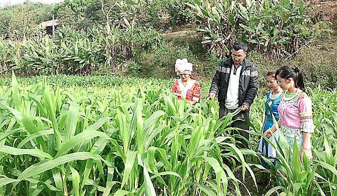 Định hướng công tác dân tộc trong tình hình mới dinh huong cong tac dan toc trong tinh hinh moi