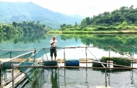 Nghệ An: Lan toả những lá đơn xin thoát nghèo