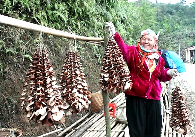 ky hop dong tieu thu nong san voi big c