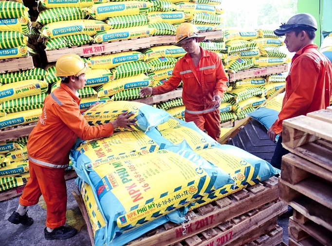 dap ung du nhu cau phan bon vu dong xuan