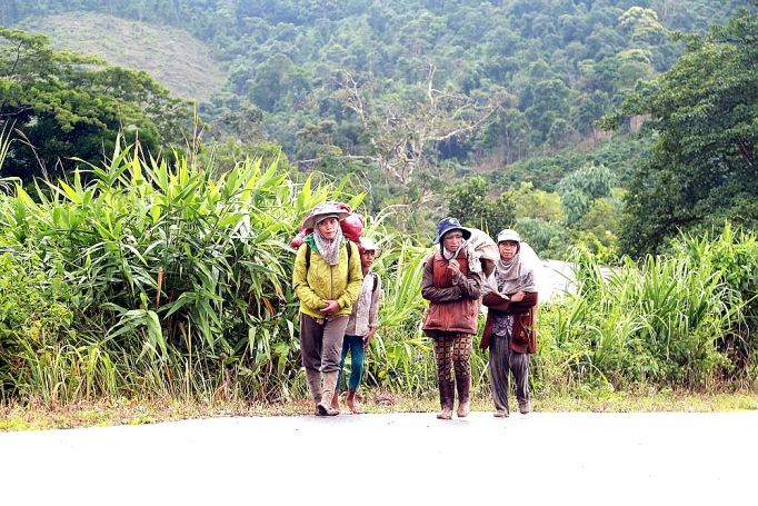 on dinh dan di cu tu do