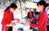 Nghệ An: Măng đắng vùng cao vào mùa thu hoạch