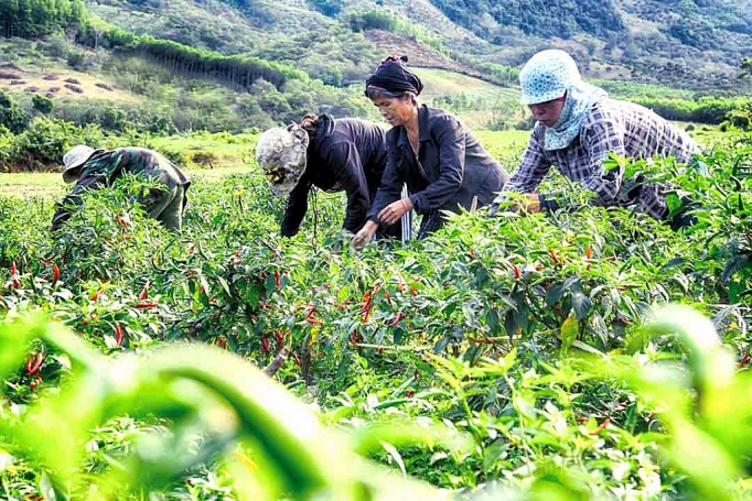 Ngày mới ở xã vùng cao Vĩnh Thuận ngay moi o xa vung cao vinh thuan