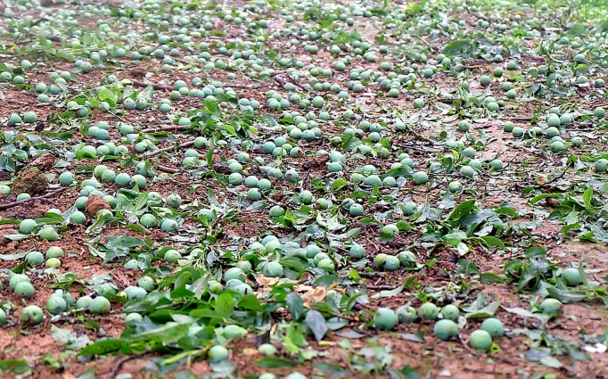 lam gi de han che anh huong cua mua da