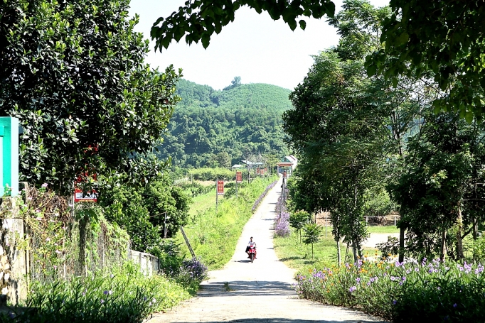 Nghệ An: Phấn đấu có thêm 30 xã đạt chuẩn nông thôn mới nghe an phan dau co them 30 xa dat chuan nong thon moi