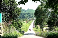 Nghệ An: Phấn đấu có thêm 30 xã  đạt chuẩn nông thôn mới