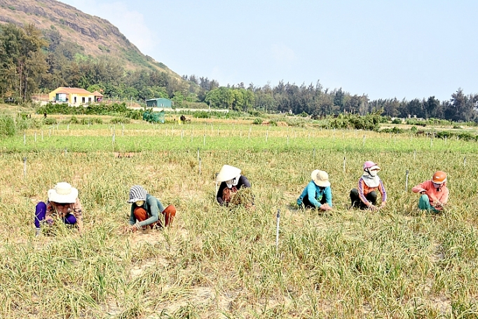 toi ly son mat mua giam gia