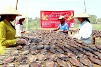 Đặc sản khô vào mùa du lịch