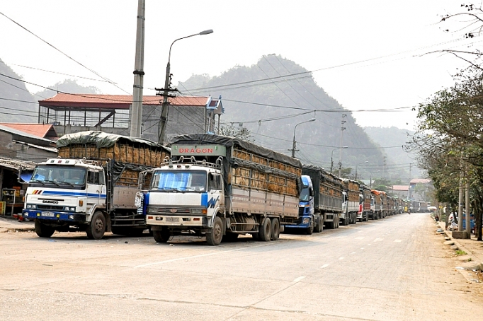 Tiếp cận thị trường Trung Quốc: Dẹp bỏ tư duy manh mún, nhỏ lẻ dep bo tu duy manh mun nho le